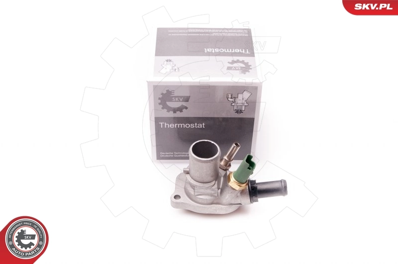 Thermostat, coolant